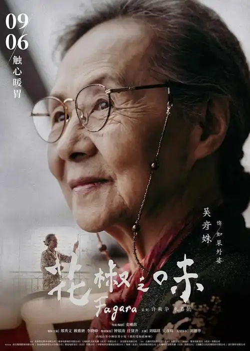钢之炼金术师 动漫海报